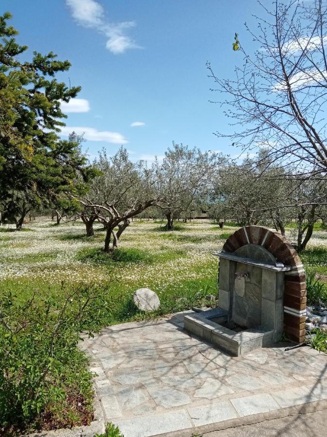 Вилла Litochoro House With A View Экстерьер фото